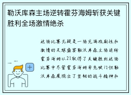 勒沃库森主场逆转霍芬海姆斩获关键胜利全场激情绝杀